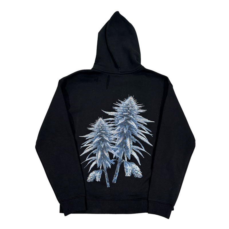 KK GLASS CAPSULE JACKET