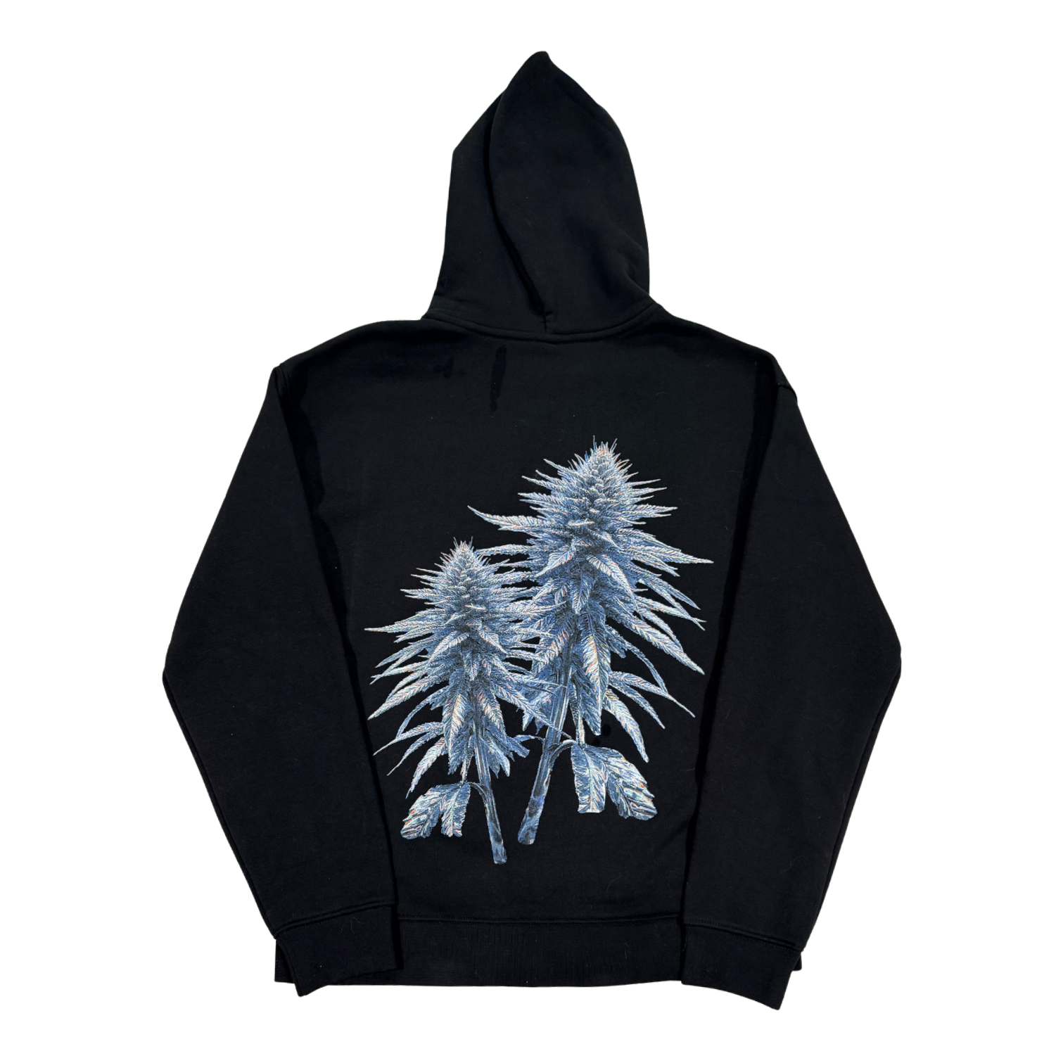 KK GLASS CAPSULE JACKET