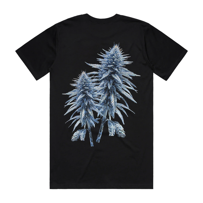 KK GLASS CAPSULE TEE