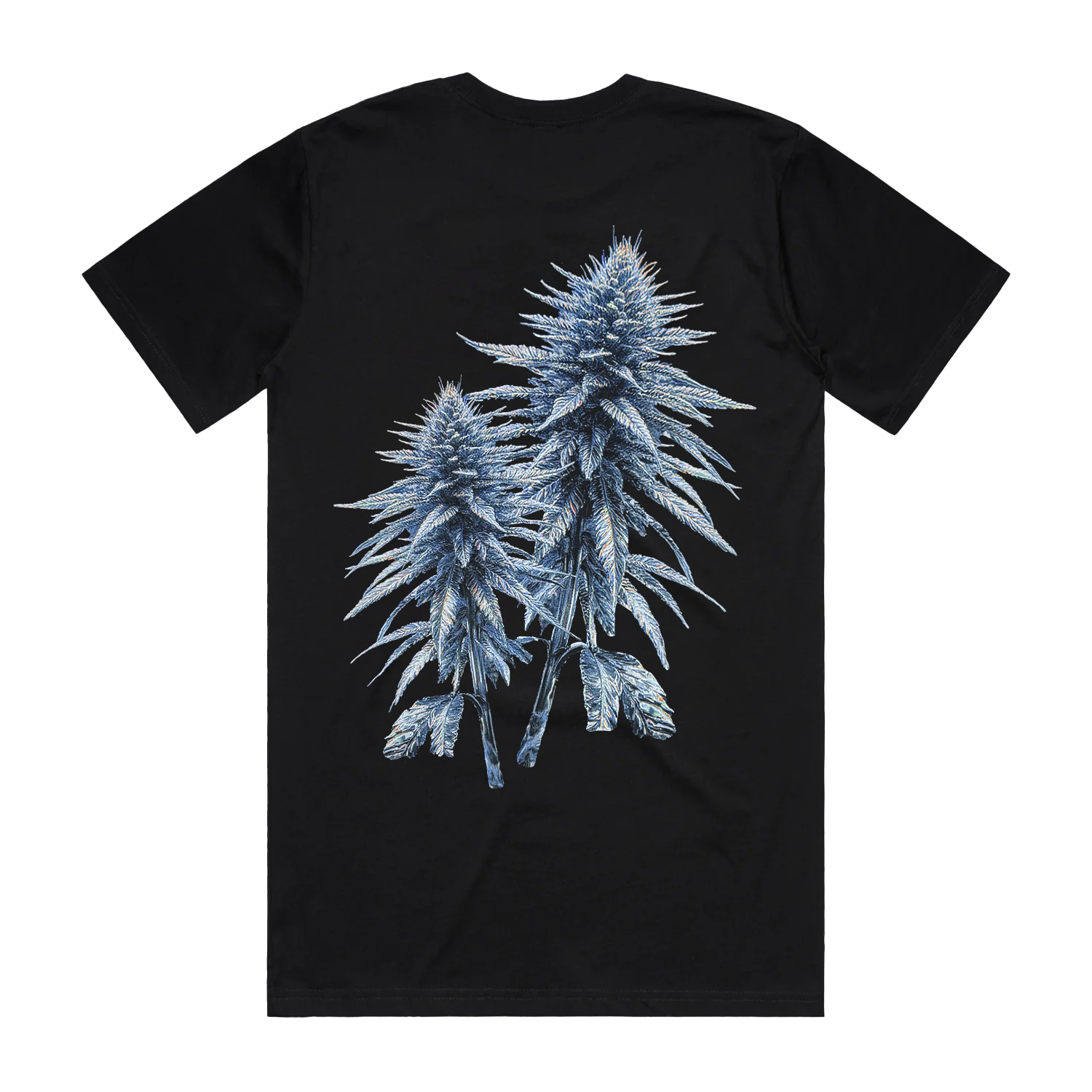KK GLASS CAPSULE TEE